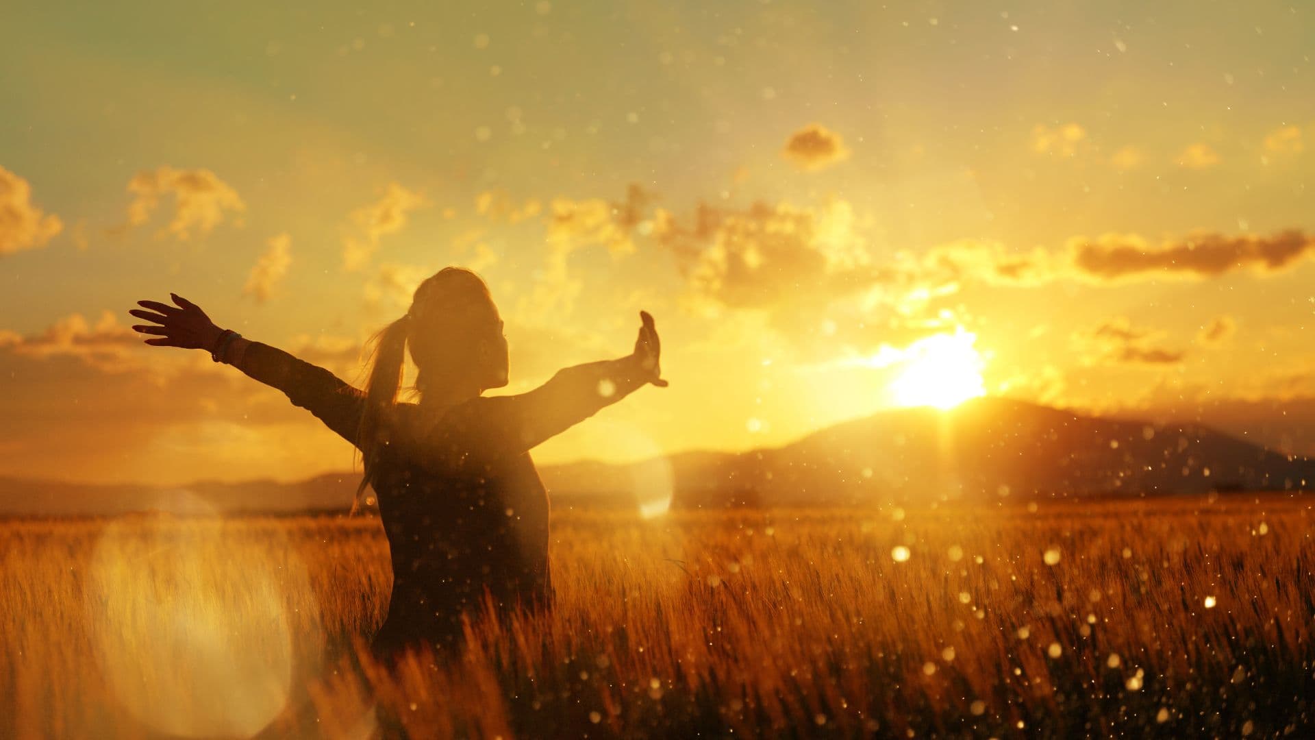 ANIMA Portal Header